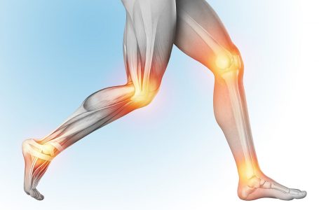 Anatomia e patologia articolare dell’arto inferiore